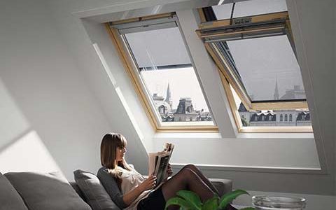 velux-windows-intro